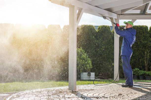 Best Roof Cleaning and Mildew Removal in Howards Grove, WI