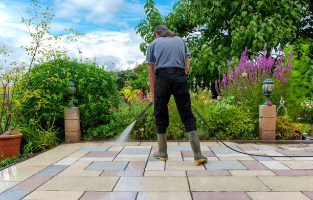 Best Driveway Cleaning and Restoration in Howards Grove, WI